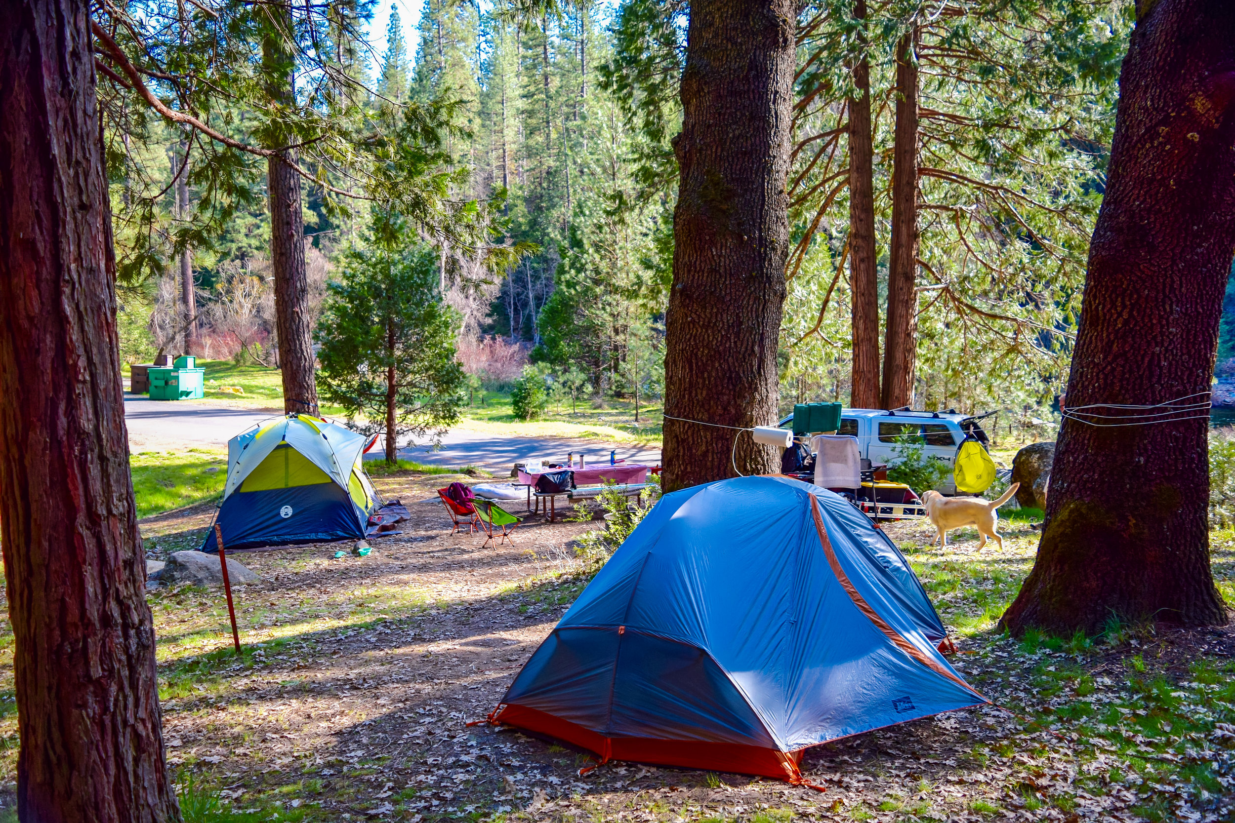 The united states is home to 58 national parks, each with its own unique beauty and landscape. How To Car Camp In Yosemite National Park Backcountry Emily