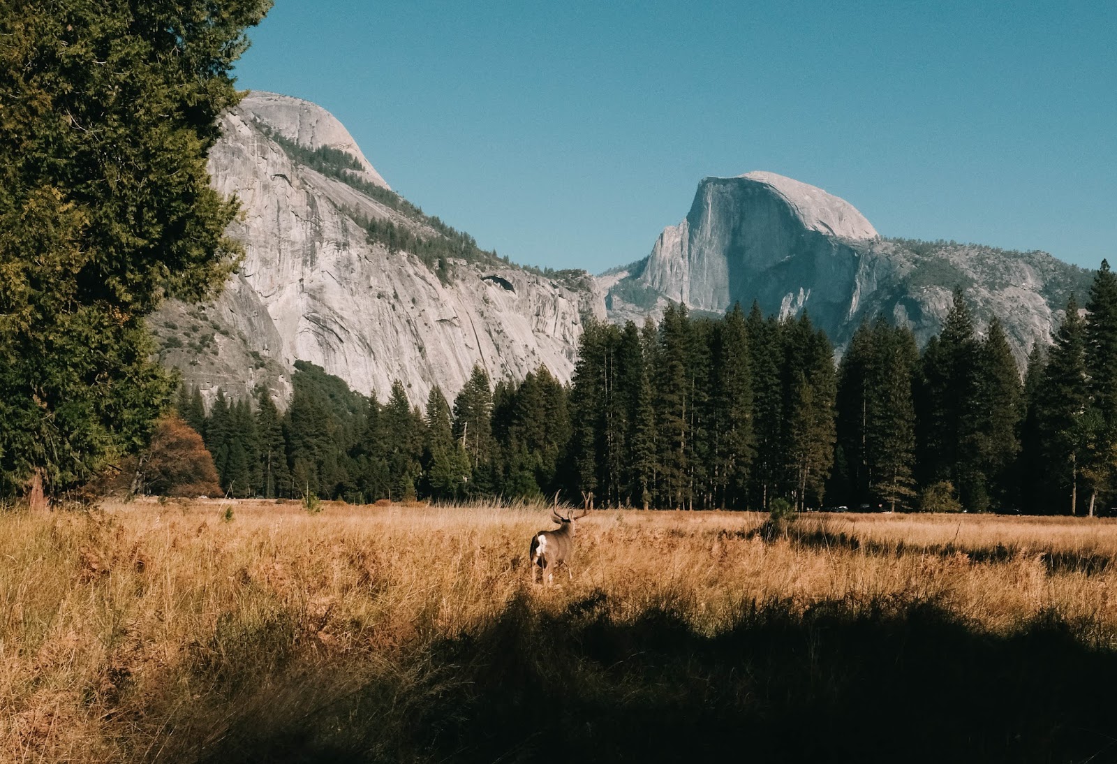 The la girl's weekend getaway guide to yosemite national park includes how to get there, when to go, where to stay, and things to do. Weekend Getaway Last Glimpse Of Fall In Yosemite Seventy Five Miles A San Francisco Based Travel Blog By Irene